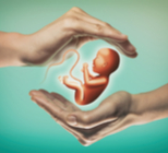 צילום רחם: דמיון מודרך - ואין כאב!-תמונה